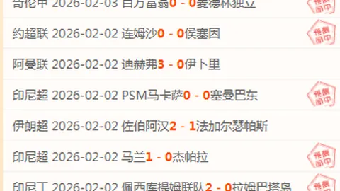官方确认：克里斯-布朗今夏维拉公园球场演唱会盛大启幕