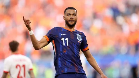 泰山队主场对阵河南队2025赛季至今11战不败，7胜4平佳绩延续未遇挑战